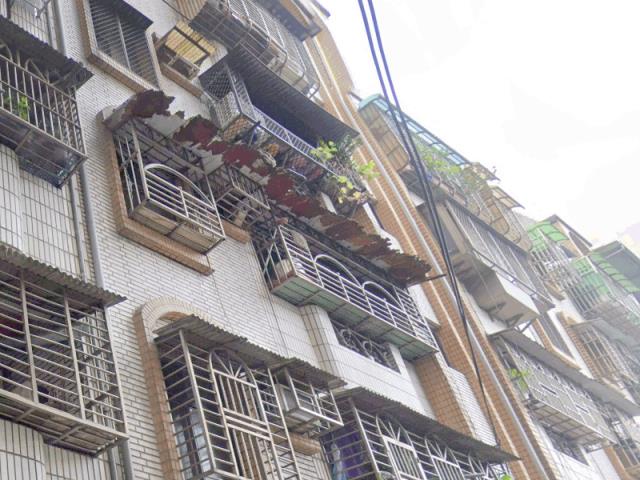新北樹林法拍公寓-1